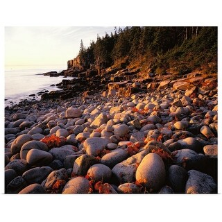 "Maine, Acadia National Park" Poster Print - Bed Bath & Beyond - 16870656